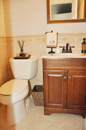 Powder Room (off den)